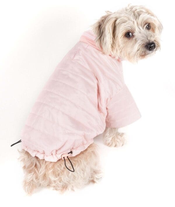 Lightweight Sporty Avalanche Pet Coat X-Large Small Large X-Small Medium - X-Small