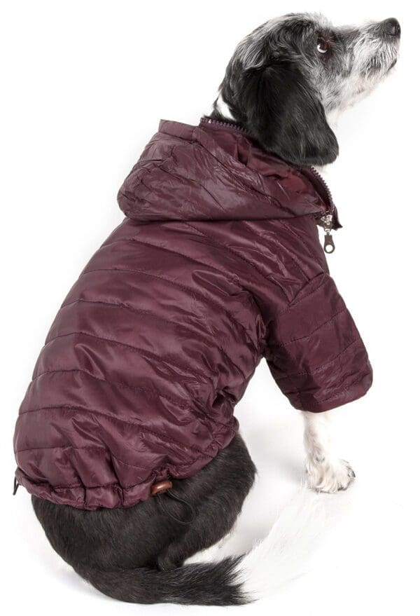 Lightweight Sporty Avalanche Pet Coat Small Medium X-Small Large X-Large - Medium