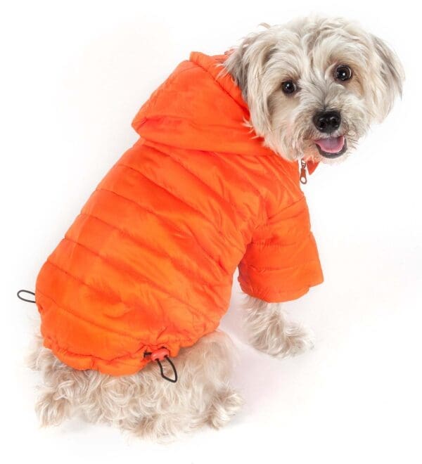 Lightweight Sporty Avalanche Pet Coat X-Small Large X-Large Small Medium - Large