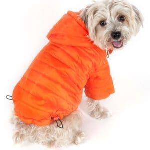 Lightweight Sporty Avalanche Pet Coat X-Small Large X-Large Small Medium - X-Small