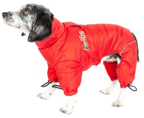 Helios Thunder-crackle Adjustable Reflective Dog Jacket Large X-Large Small Medium X-Small - small