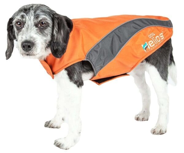 Helios Octane Softshell Reflective Dog Jacket X-Small Small X-Large Medium Large - small