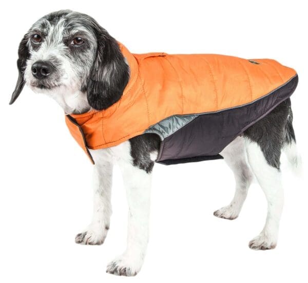 Helios Hurricane-Waded Reflective Dog Coat X-Small X-Large Medium Large Small - X-Small