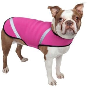 Extreme Neoprene Protective Shell Dog Coat X-Small Small Medium Large - X-Small