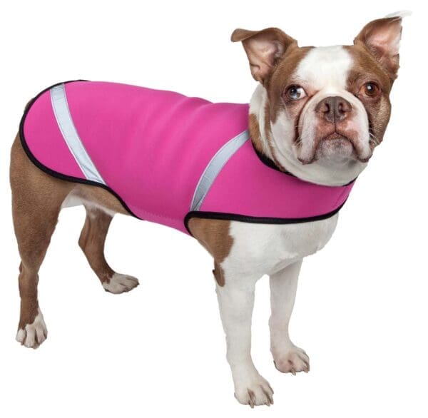 Extreme Neoprene Protective Shell Dog Coat X-Small Small Medium Large - X-Small