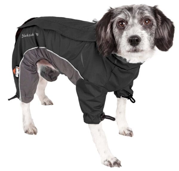 Helios Blizzard Adjustable Reflective Dog Jacket Medium Large X-Small Small X-Large - Medium