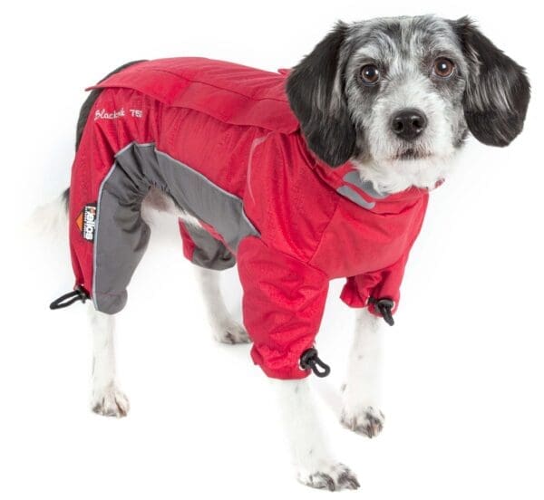 Helios Blizzard Adjustable Reflective Dog Jacket X-Large Medium Large Small X-Small - X-Small