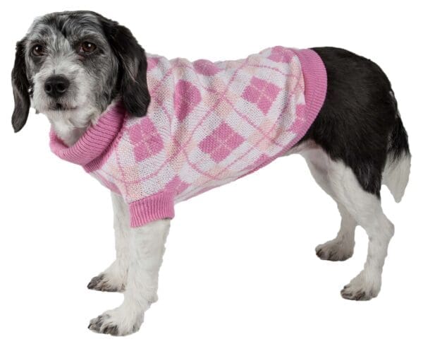 French Terry Pet Hoodie Sweater X-Small Large Small Medium - Medium