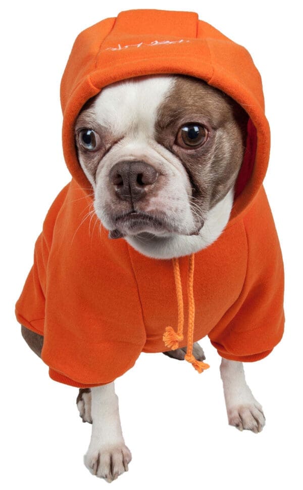 Fashion Plush Cotton Hoodie for Pets X-Small Small Medium Large - Medium