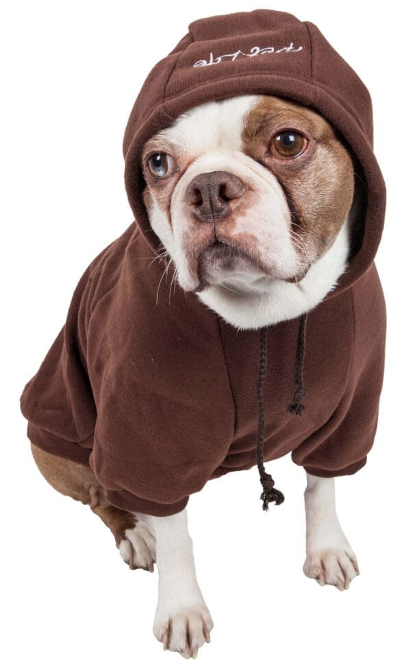 Fashion Plush Cotton Pet Hoodie X-Small Small Medium Large - Large