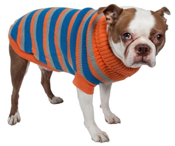 Heavy Cable Knit Striped Polo Dog Sweater X-Small Small Large Medium - Medium