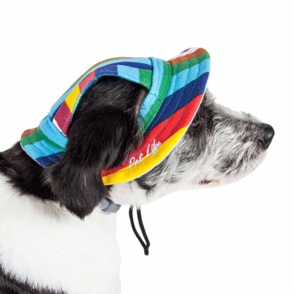 Pet Life Colorfur UV Protectant Dog Hat Medium Large