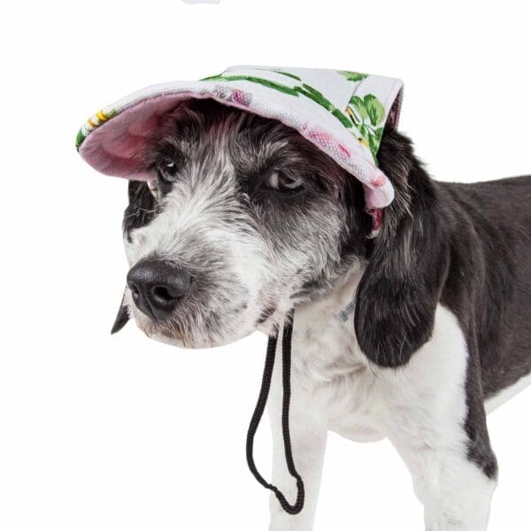 Pet Life Botanic Bark Floral UV Protectant Dog Hat Large Medium - Medium