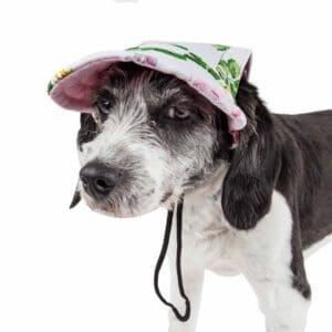 Pet Life Botanic Bark Floral UV Protectant Dog Hat Large Medium - Large