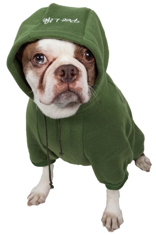 Fashion Plush Cotton Pet Hoodie Medium Large X-Small Small - X-Small