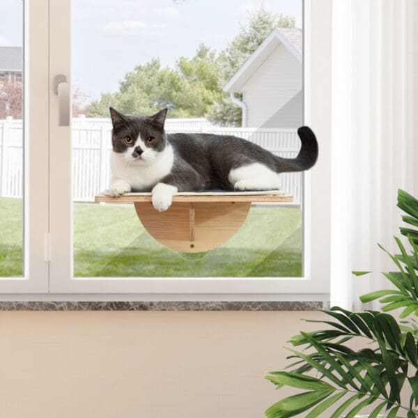 Natural Indoor Cat Window Perch