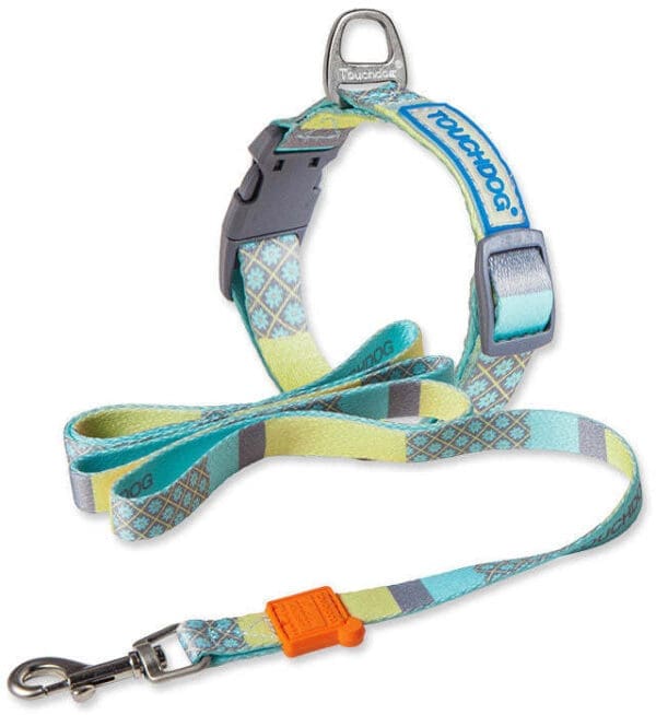 Trendzy Designer Dog Leash and Collar Blue Pink - Purple Red - BLUE Large