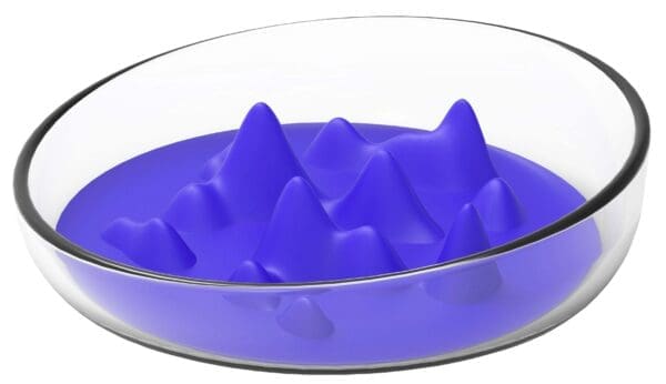 Pet Life Cirlicue Slow Feeding Bowl Black Blue Pink Orange - BLUE