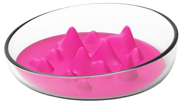 Pet Life Cirlicue Slow Feeding Bowl Black Blue Pink Orange - Pink