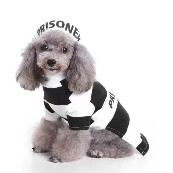 Pet Life Striped Retro Inmate Dog Costume Black-White  XL - Black White Large