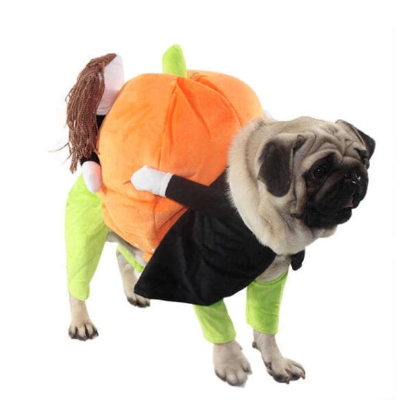 Pet Life Pumpkin Mon Halloween Dog Costume  XL Orange - Orange Large