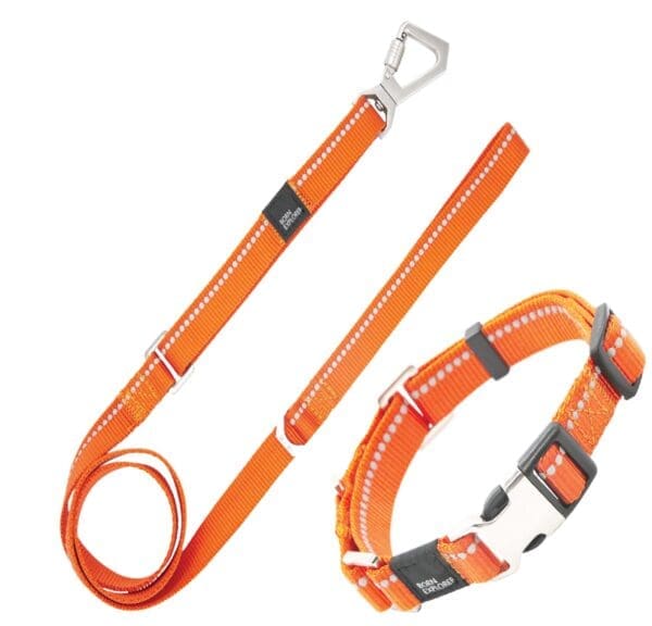 Advent Reflective Martingale Dog Leash and Collar Blue Orange Pink - Orange Medium