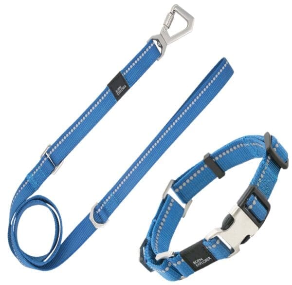 Advent Reflective Martingale Dog Leash and Collar Blue Orange Pink - BLUE Medium