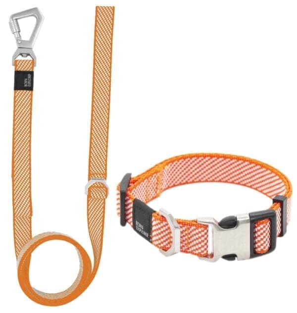 Escapade Convertible Dog Leash and Collar Set Various Colors - Orange Large