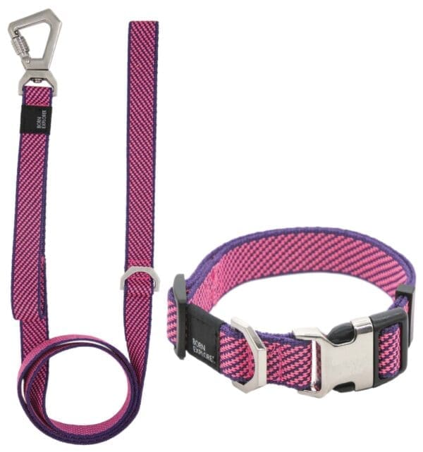 Escapade Convertible Dog Leash and Collar Set Various Colors - Pink small