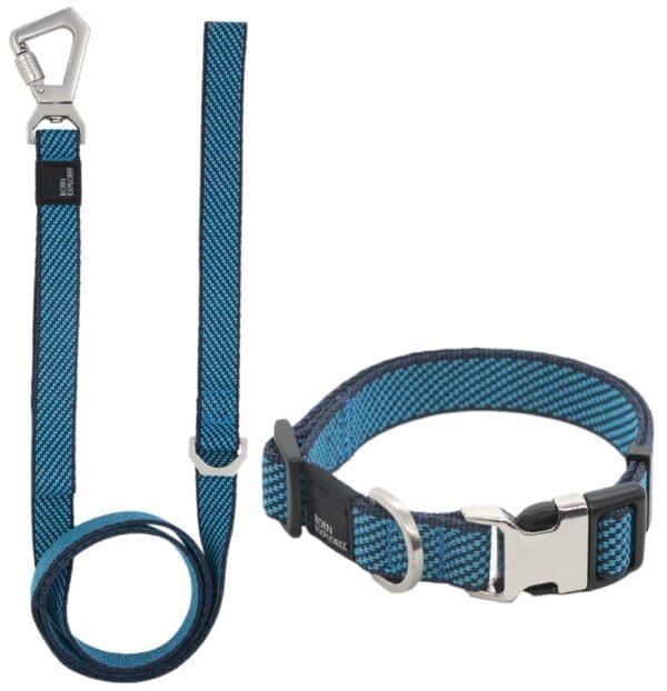 Escapade Convertible Dog Leash and Collar Set Various Colors - BLUE small