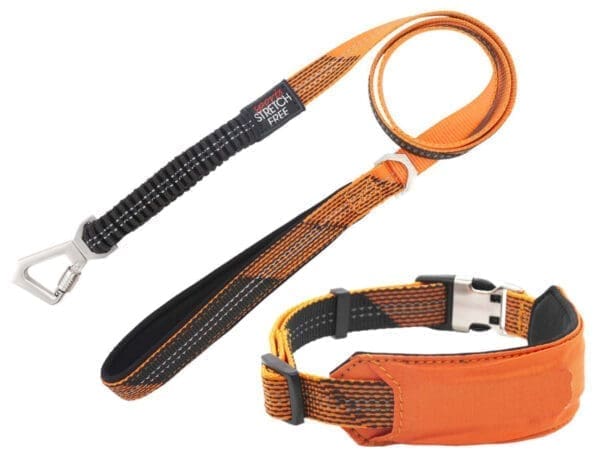 Geo-prene Reflective Dog Leash and Collar Set Various Colors - Orange small