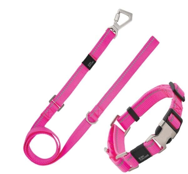 Advent Reflective Martingale Dog Leash and Collar Blue Orange Pink - Pink Large