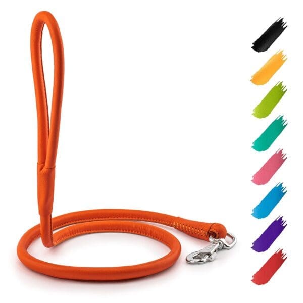 Orange Rolled Leather Dog Leash 4Ft