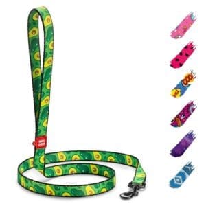 Avocado Nylon Dog Leash for Small Medium Dogs