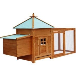 Outdoor Chicken Coop Brown