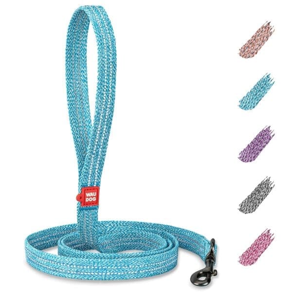 Blue Recycled Cotton Dog Leash 6 Ft