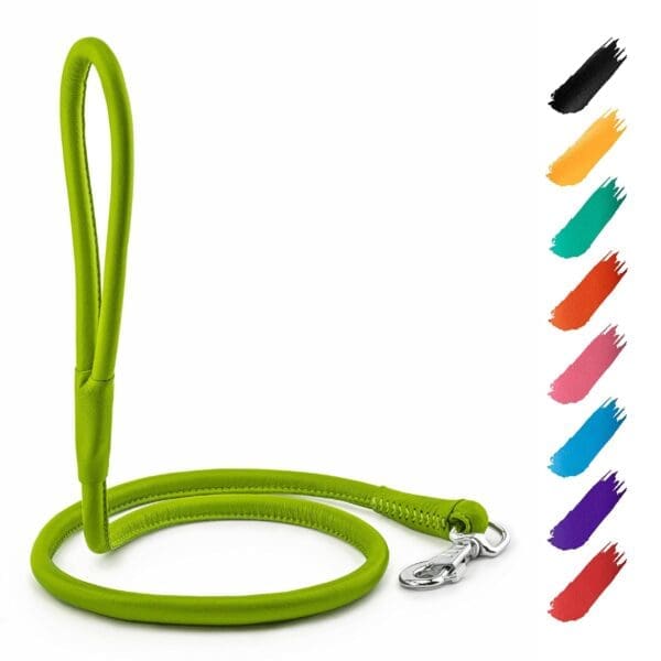 Rolled Leather Dog Leash Green 4Ft