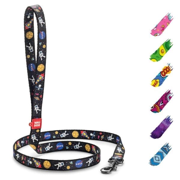 Nylon Dog Leash NASA Pattern