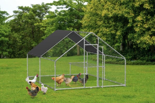 Large Metal Chicken Coop Walk-in