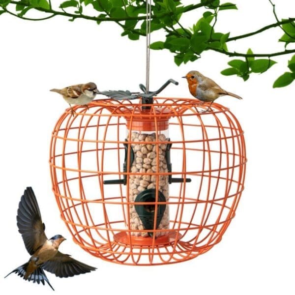 Squirrel-Proof Bird Feeder Orange