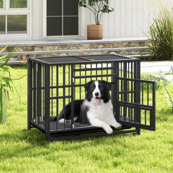 Foldable Metal Dog Cage Black