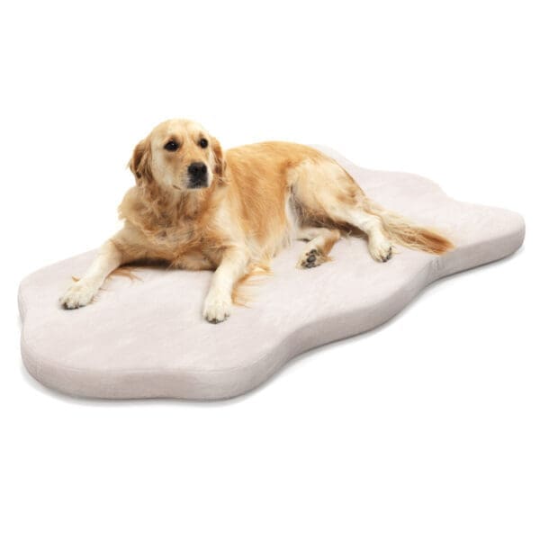 Orthopedic Dog Bed Beige