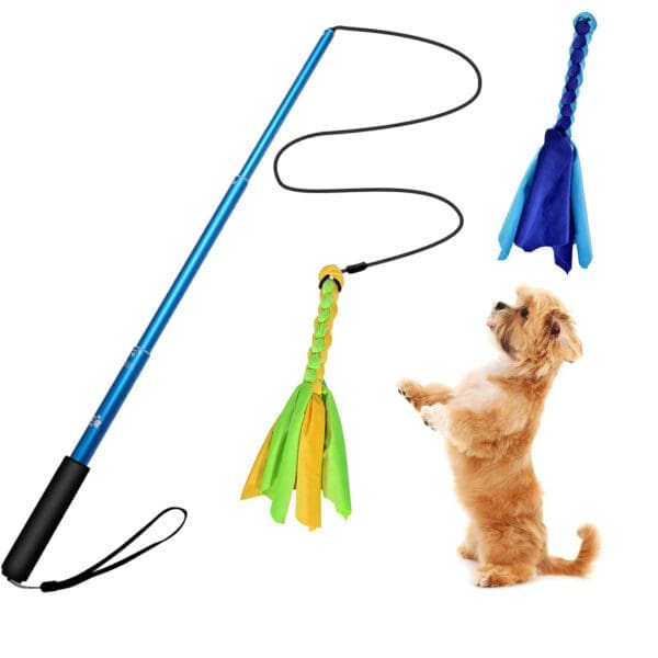 Extendable Dog Flirt Pole with Lure Black Blue - BLUE