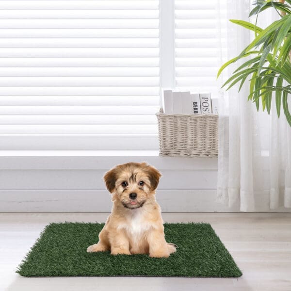 Dog Grass Mat