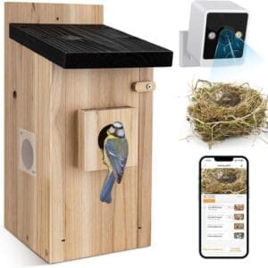 Smart Bird House with Camera Blue