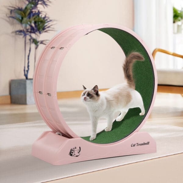 Cat Running Wheel Pink