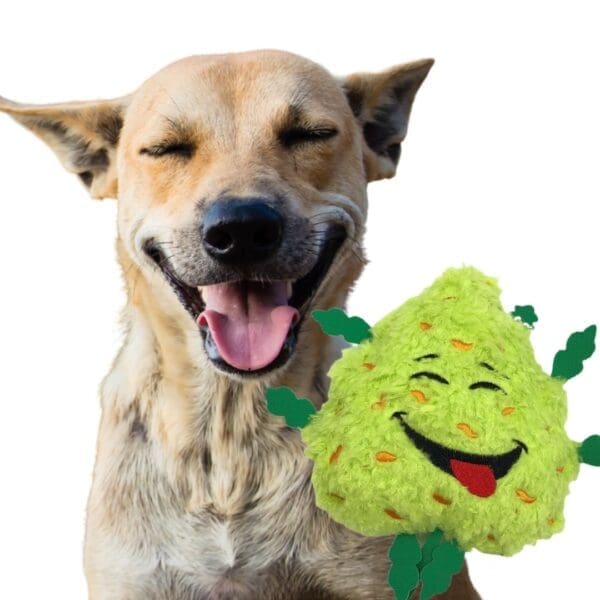 Bud the Weed Nug Dog Toy Green