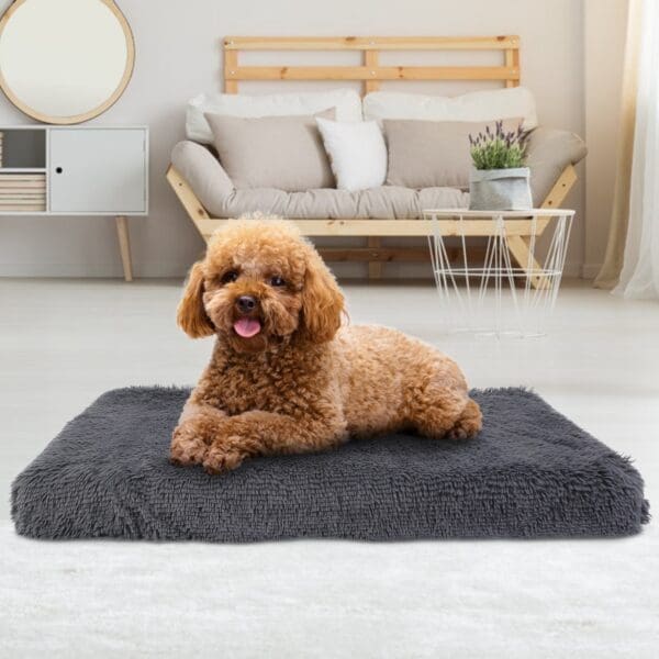 Plush Dog Bed Cushion S L XL - S