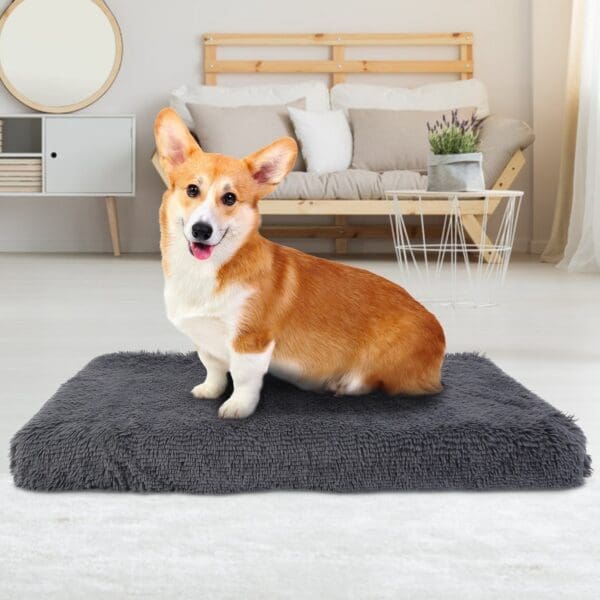 Plush Dog Bed Cushion S L XL - L