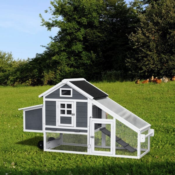 Removable Tray Ramp Chicken Hutch Gray